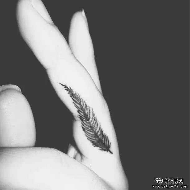 ��ָ��ë����ͼ��