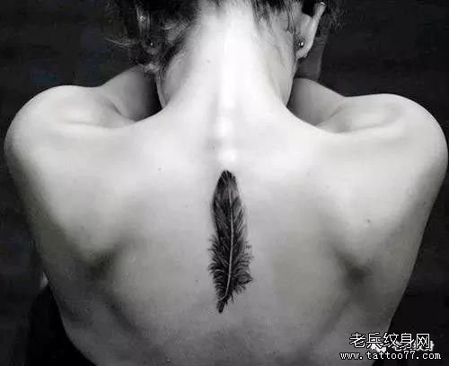 ����ë����ͼ��