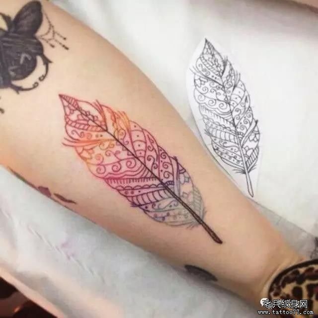 �ֱ���ë����ͼ��