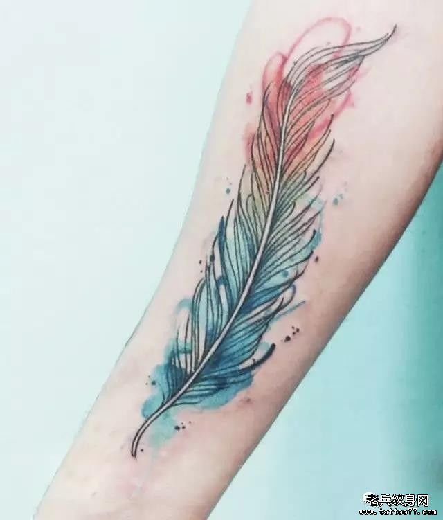 �ֱ���ë����ͼ��