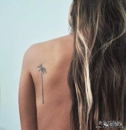 肩胛线条椰子树纹身图案