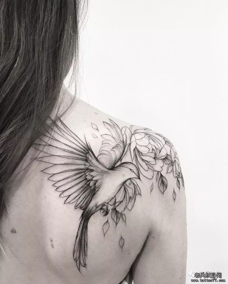 肩胛简约线条鸟纹身图案