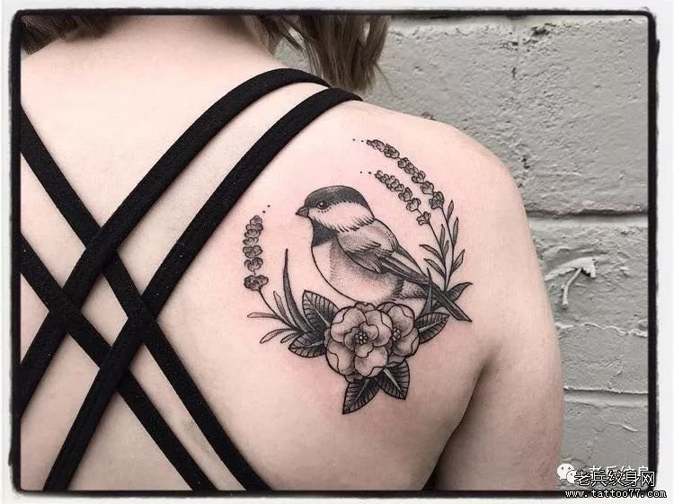 肩胛黑灰花鸟纹身图案