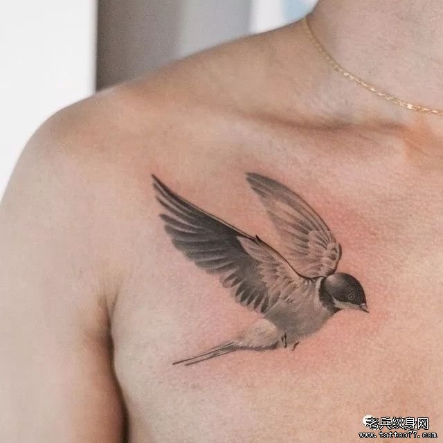 锁骨黑灰中国风燕子纹身图案