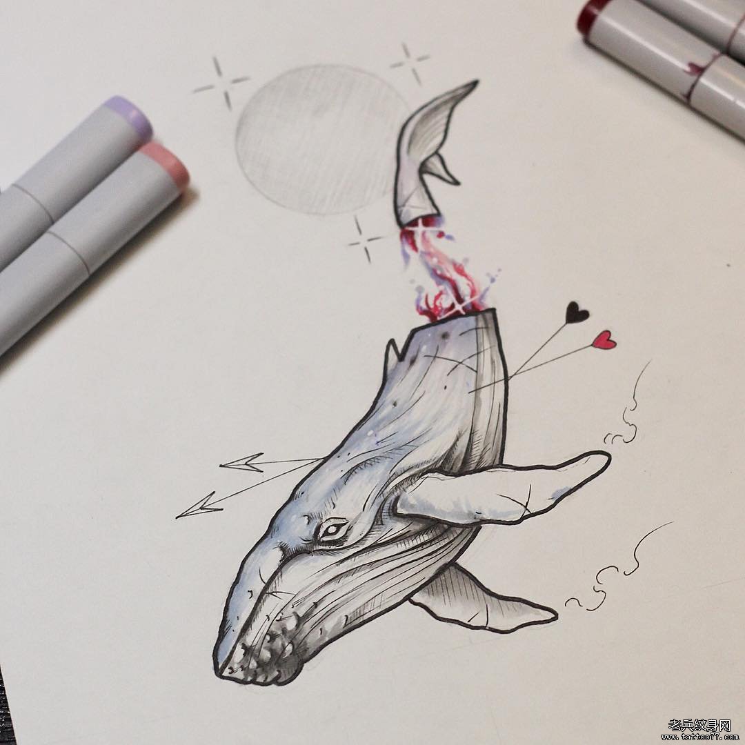 鲸鱼线条纹身手稿内容图片分享