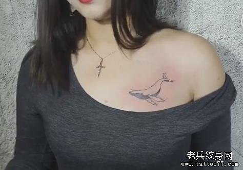 武汉老兵纹身小清新鲸鱼纹身图案