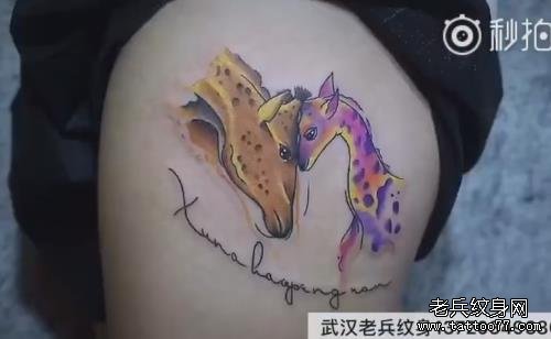 武汉老兵纹身长颈鹿纹身视频