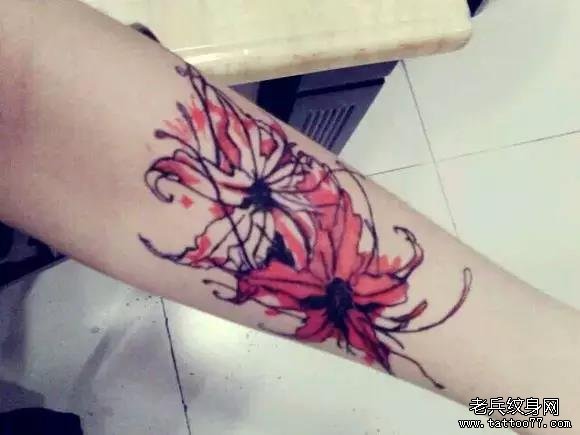 此生花不见叶,叶不见花。彼岸花的凄美,你了解多少?