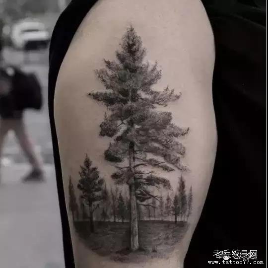 纹身素材第458期——生命之树