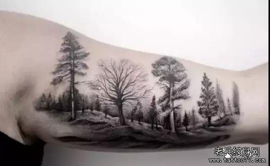 纹身素材第458期——生命之树