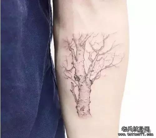 纹身素材第458期——生命之树