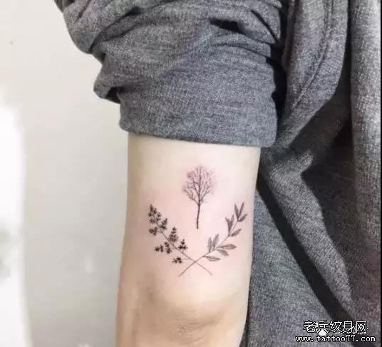 纹身素材第458期——生命之树