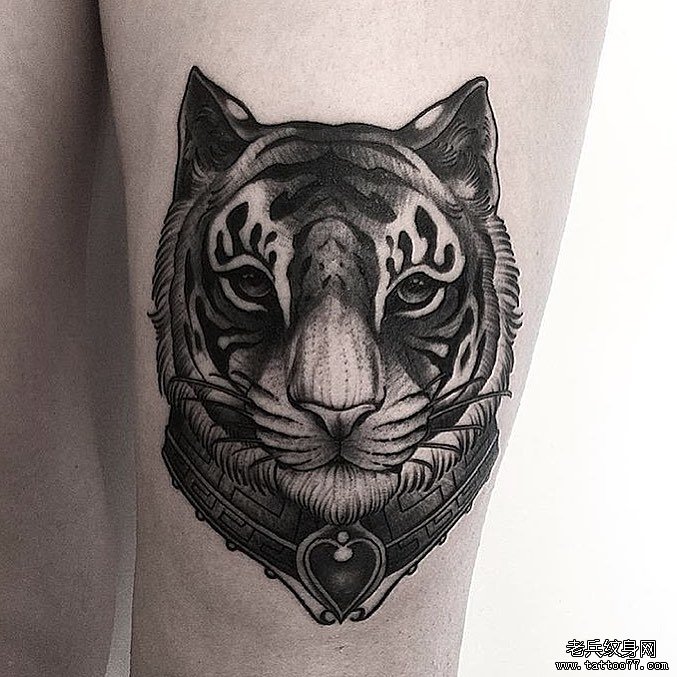 ŷ����ͷ�ֱ�����ͼ��