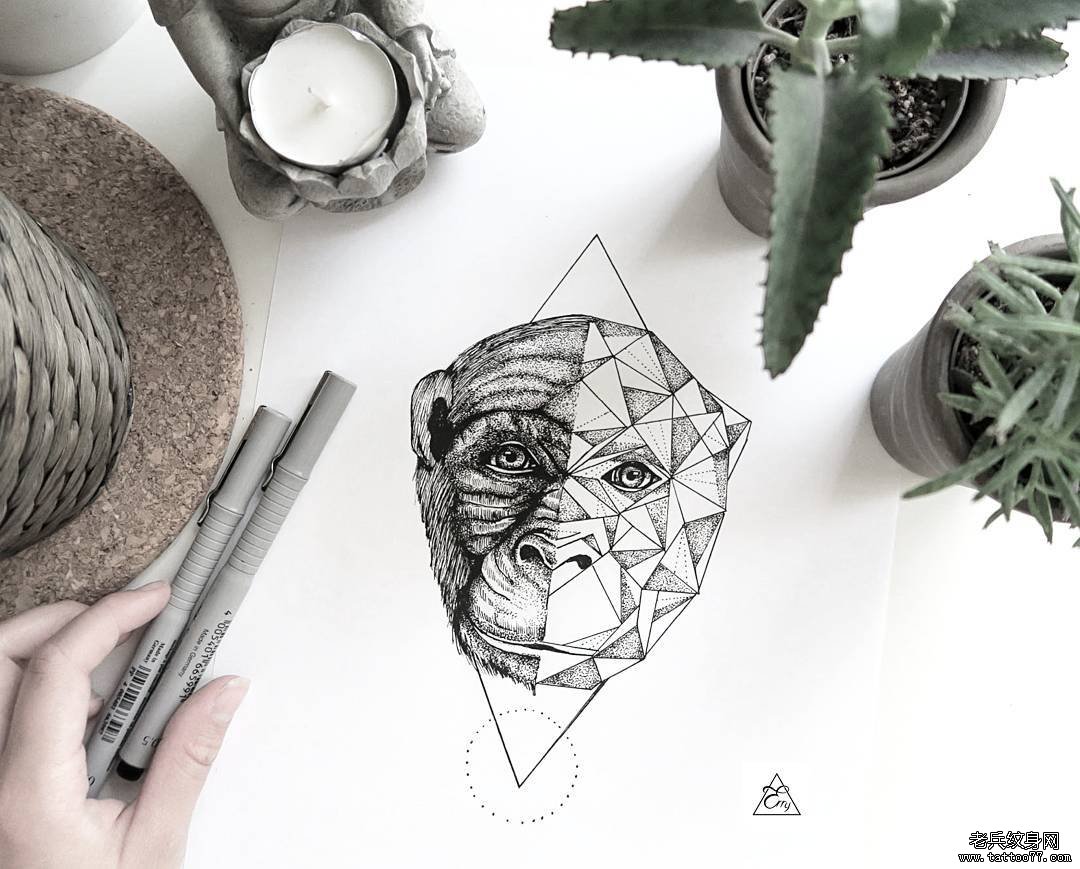 �ڻҺ��������ָ�