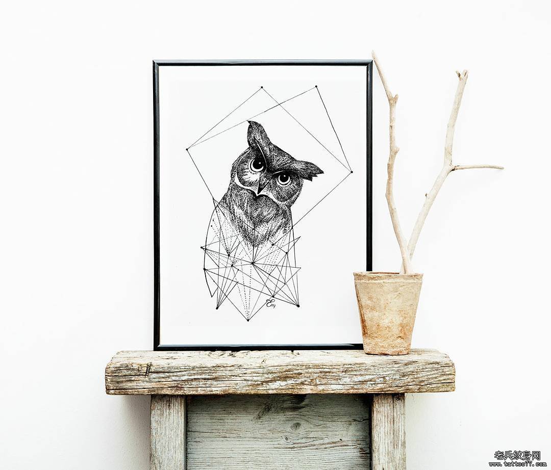 �ڻ�èͷӥ�����ָ�