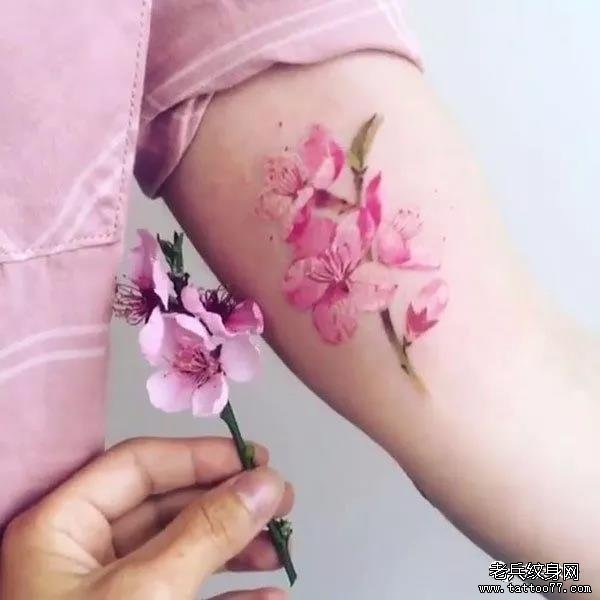 纹身素材第515期——桃花