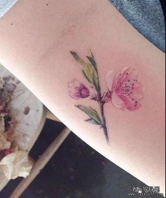纹身素材第515期——桃花