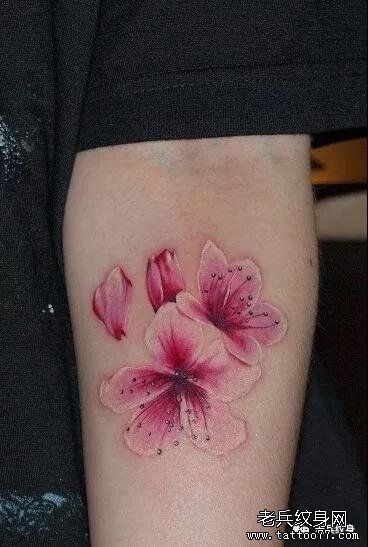 纹身素材第515期——桃花