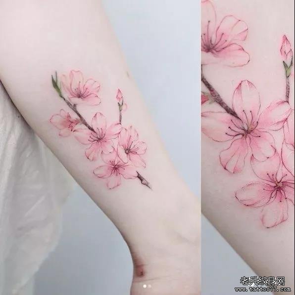 纹身素材第515期——桃花