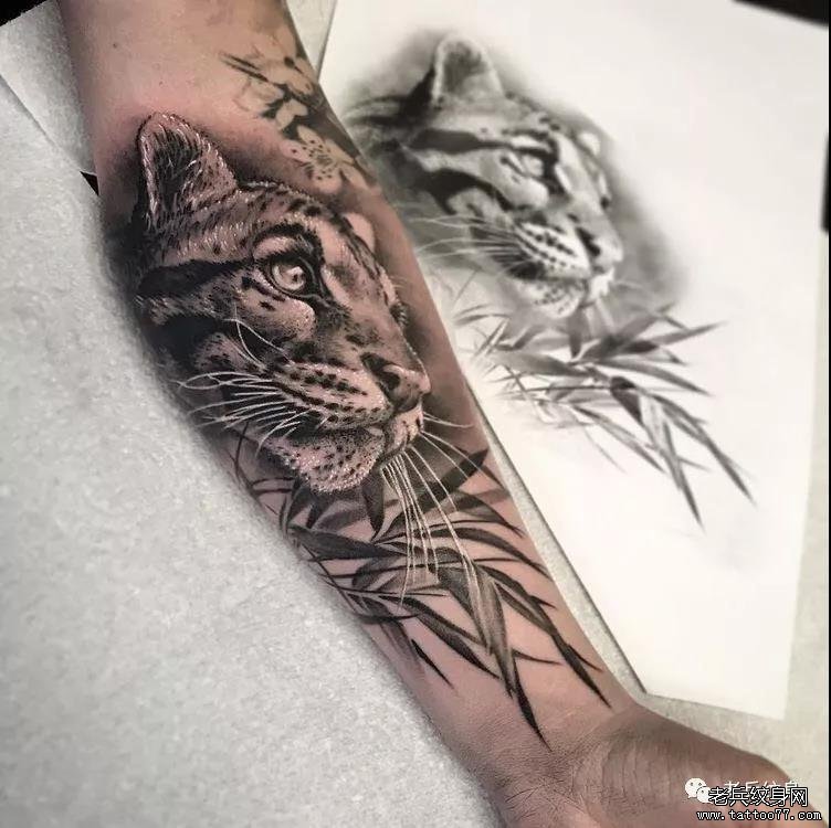 纹身素材第522期——欧美写实