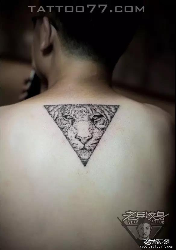 ʮ֮ һһ㡪ϱڡ󱳡Ʒ