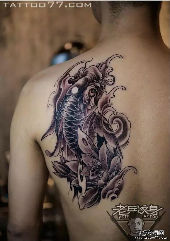 ʮ֮ һһ㡪ϱڡ󱳡Ʒ