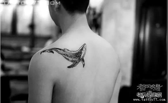 ʮ֮ һһ㡪ϱڡ󱳡Ʒ