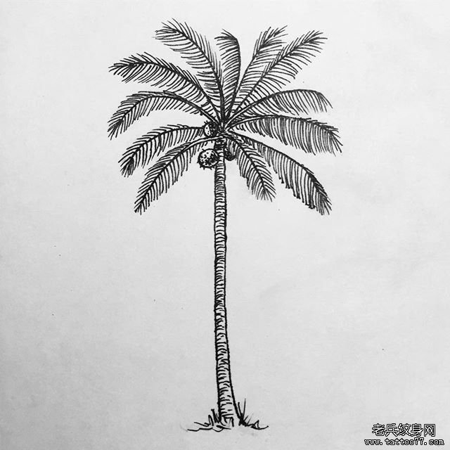 线条椰树纹身图案