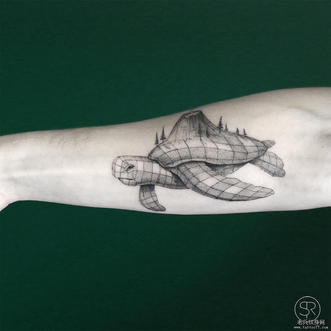 50 多个最佳龟纹身设计