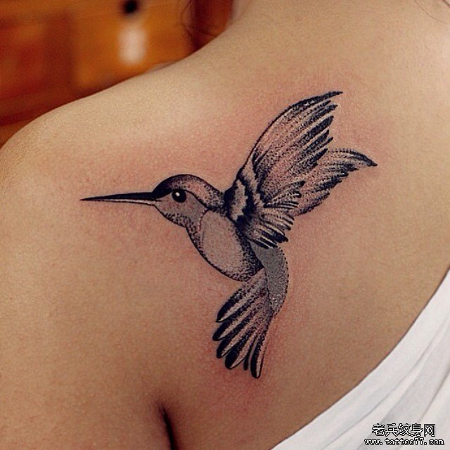 肩胛黑灰小鸟纹身图案
