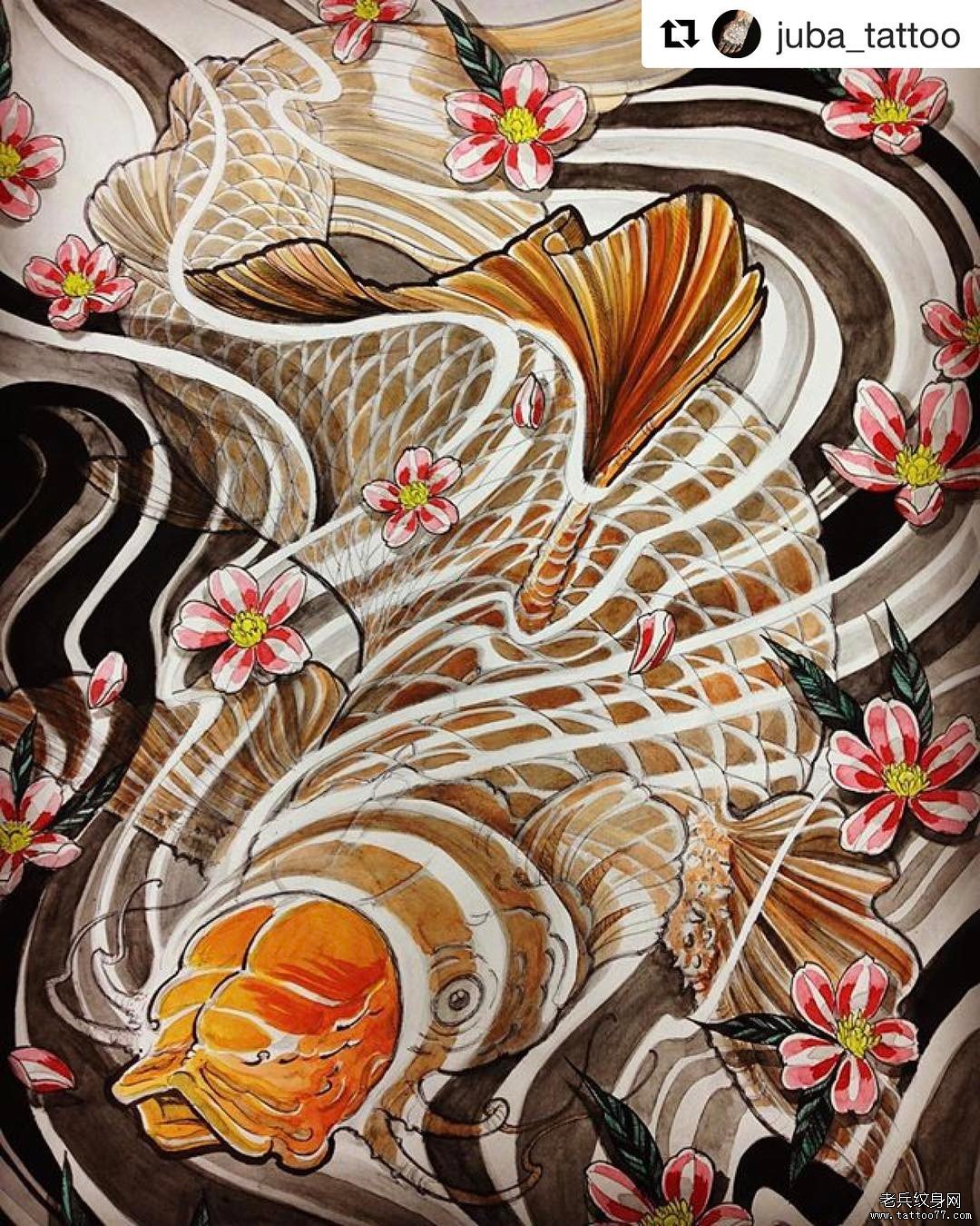 彩色传统鲤鱼纹身图案
