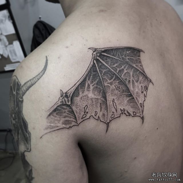 肩胛黑灰恶魔翅膀纹身图案