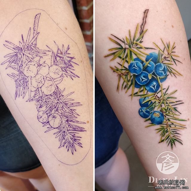 手臂彩色蓝莓纹身图案