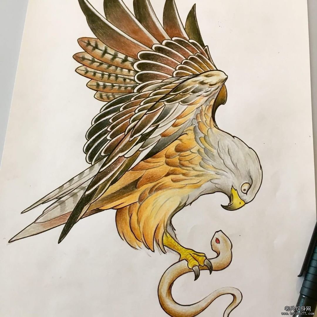 彩色鹰蛇纹身图案
