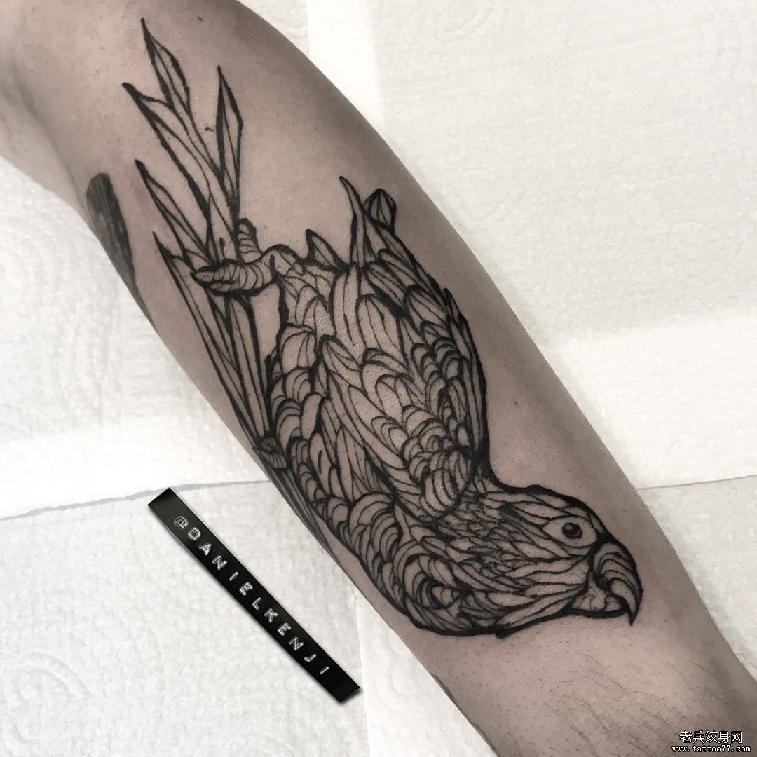 手臂黑灰鹦鹉纹身图案
