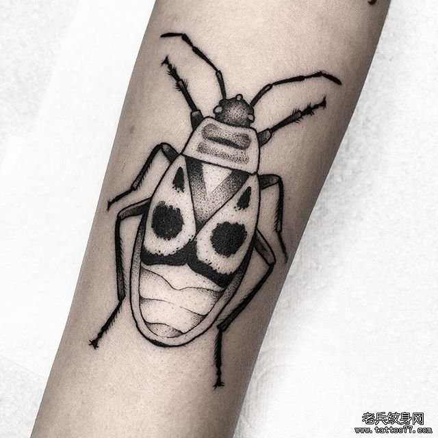 手臂黑灰昆虫纹身图案