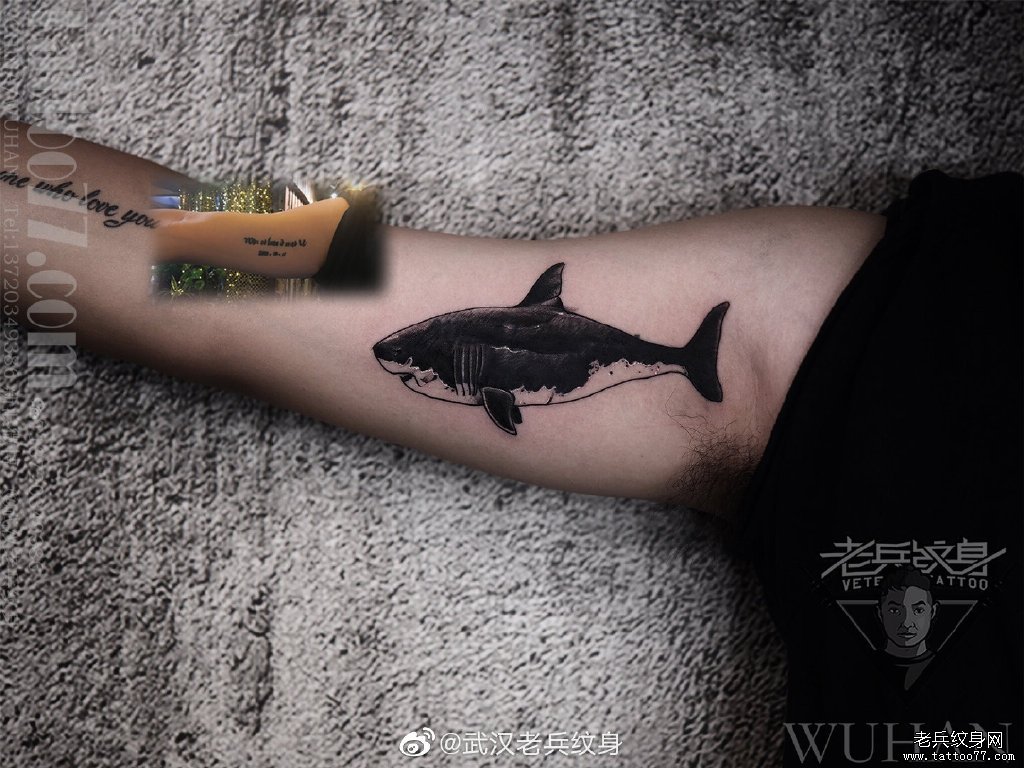 手臂黑灰鲨鱼遮盖纹身