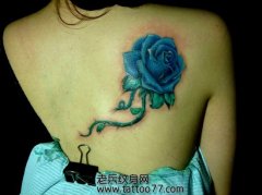 �ÿ�ʱ�е���Ů����õ�廨����ͼ��