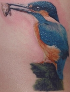 ��������ͼ��