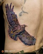 ��ӥչ������ͼƬ