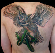 èͷӥץ��ͼ��