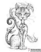 һ��è���������ͼƬ