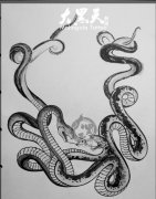 ��������ͼ����ȫ��������ͼ����ȫ