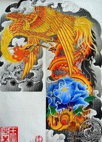 彩色半胛凤凰牡丹纹身图案纹身图片—武汉纹身店提供