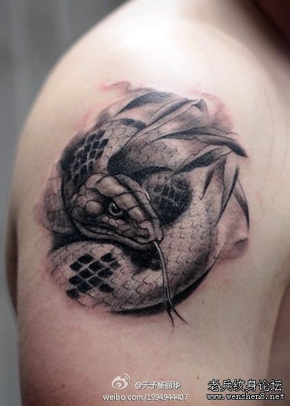 手臂蛇纹身图案纹身图片
