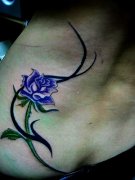 �������������꣺��Ů�Ը�����ͼ��õ������ͼ��ͼƬ