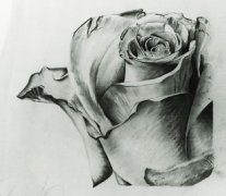 �����人���ࣨtattoo���꣺�ڰ�����õ������ͼ��ͼƬ��ȫ