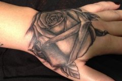 �ֲ��ڰ�õ�廨����ͼƬ��ȫ