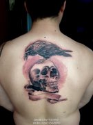 ���˺󱳾���˧������ѻ����������ͼ��