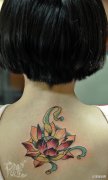 女生背部漂亮潮流的彩色莲花纹身图案